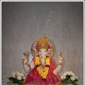 Navratri2010-294