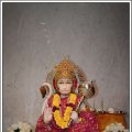 Navratri2010-295
