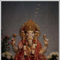 Navratri2010-385
