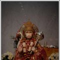 Navratri2010-386