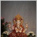 Navratri2010-601