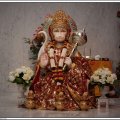 Navratri2010-603